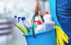 Professional Cleaning Services